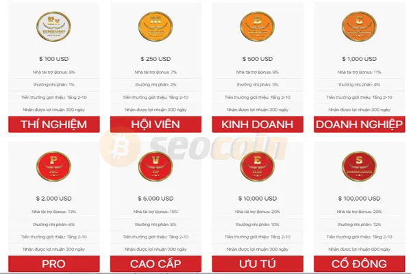 goi dau tu vao clb scb