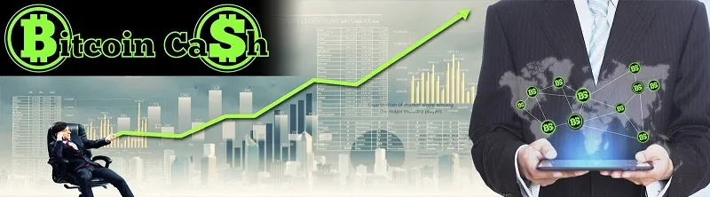 bitcoin-cash
