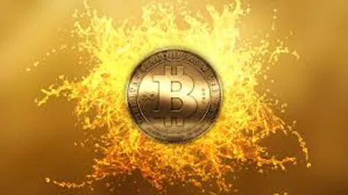 Đã chuẩn bị đầy đủ cho sự ra mắt phần mềm Breadwallet