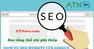 dich vu seo website