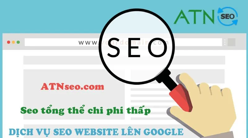 dich vu seo website