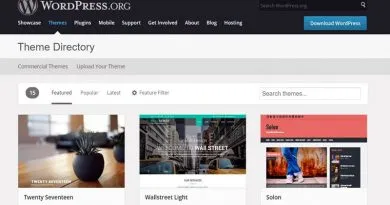 thiet-ke-website-wodpres