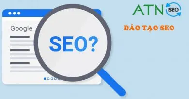 dao tao seo atnseo