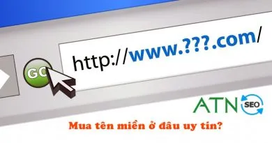 mua ten mien uy tin 1