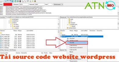 Cách lấy source code website wordpress thủ công