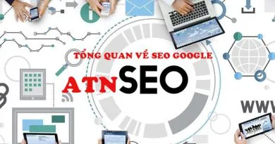 seo website atn