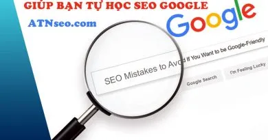tu hoc seo google